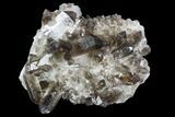 Dark Smoky Quartz Crystal Cluster - Brazil #104075-1